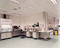 Royal College of Surgeons, Clinical Research - laboratory